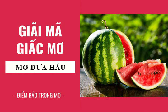 Giải mã giấc mơ: Nằm mơ thấy quả dưa hấu, ăn dưa hấu điềm báo gì, lành hay dữ? con số liên quan