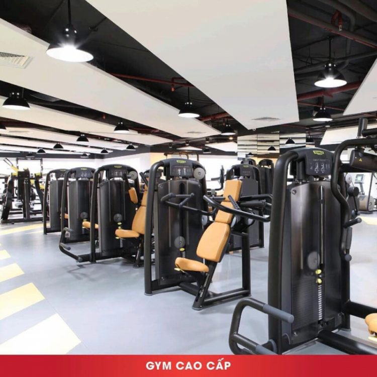 Danh Sách Top 15 Phòng Tập Gym Quận Cầu Giấy Hà Nội Chất Lượng