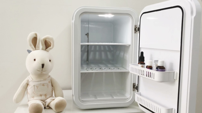 Top 10 Nơi Bán Tủ Lạnh Mini Cũ Tại Hà Nội Uy Tín, Chất Lượng
